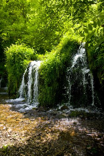 Water cascades through the vegetation at Lathkill Dale